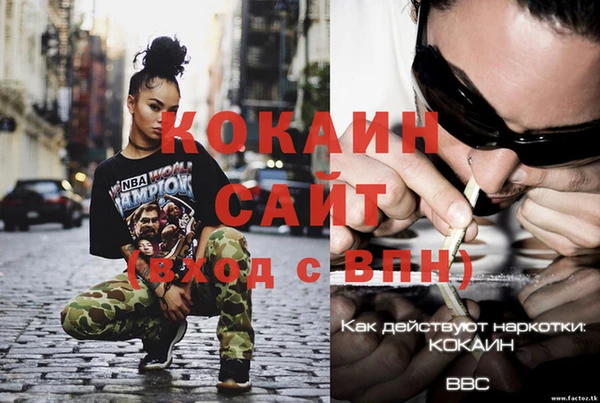 прущие грибы Беломорск