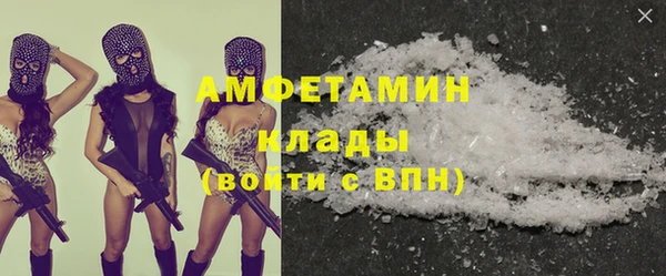прущие грибы Беломорск