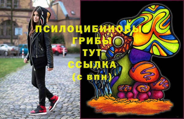 марки lsd Горняк