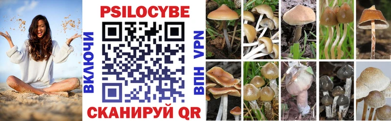 Псилоцибиновые грибы мицелий  МЕГА как войти  Белёв 